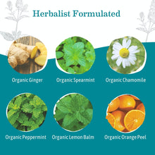 Load image into Gallery viewer, Organic Ginger Nausea Tea